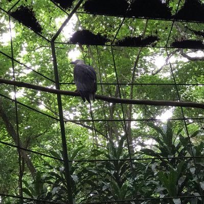 islamarinduque0's profile picture. 