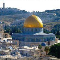 Embassy of The State of Palestine-Zimbabwe (@palestineinzim) 's Twitter Profile Photo Embassy of The State of Palestine-Zimbabwe (@palestineinzim) 's Twitter Profile Photo