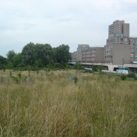 Tottenham Green (@tottenhamgreen) 's Twitter Profile