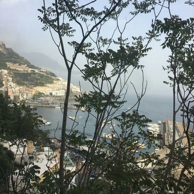 MARIVIHERNANDE1's profile picture. Funcionaria de la Generalitat