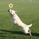 Debbie Pepper - @coachparty1 - Twitter