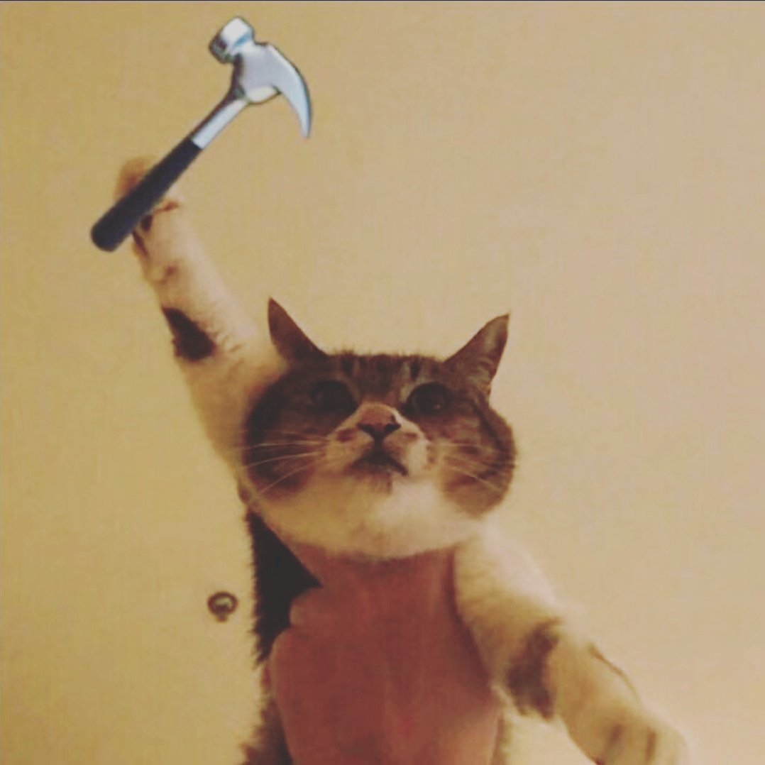 KTmOEffWydZFx6H's profile picture. ，