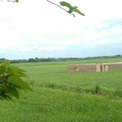 ‏‏افغانستان زماوطن دی
