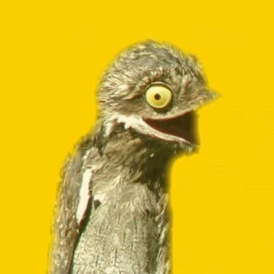 あかうし 青眼の究極竜 加藤純一 うんこちゃん ちくのぼ ジャングル大西 遊戯王