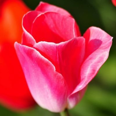 Santosh71984587's profile picture. Good luck