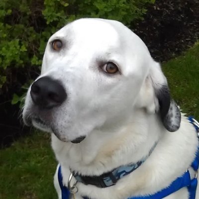 eonova's profile picture. 