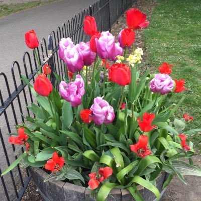 marikasw11's profile picture. 