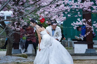 chiu35255571's profile picture. 热爱祖国、热爱和平、追求事实，讨厌公知、殖畜、谎言！