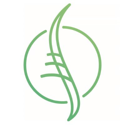 BASS actively promotes the study of spinal disorders with particular attention to the surgical treatment of spinal disease and disorders.