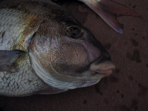 2 kids, mortgage, vegies in the backyard, goin' fishin' if I can. The usual.