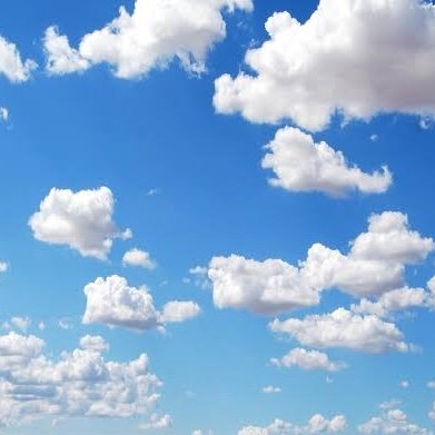 Cas1142's profile picture. 