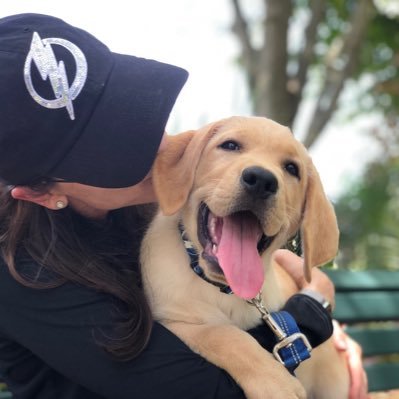 Hi, #Bolts Nation! I’m a @seguidedogs pup being raised by the @tblightning! Follow along with my adventures as I learn the ropes! 🐾