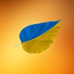 I am a proud Ukrainian telling world about Ukraine and Ukrainians so that after reading you would come and visit my country. #blogging #Ukraine #Ukrainians