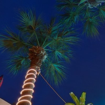 GregNye's profile picture. Fun