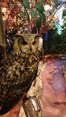 rTKKZG1oCUNdjA4's profile picture. 深刻なミーム汚染