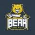 Bear Cricket (@Bear_Cricket) Twitter profile photo