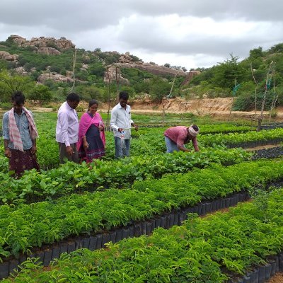 Gattukadipalli Gp @Ghanpur Mandal