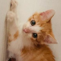 ์์๐ฝ (@c0rn_s0up) 's Twitter Profile
