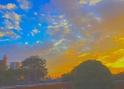 NNhSHnq3N3Dy1lj's profile picture. 