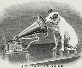 muskiemenace's profile picture. one letter short of Nice.