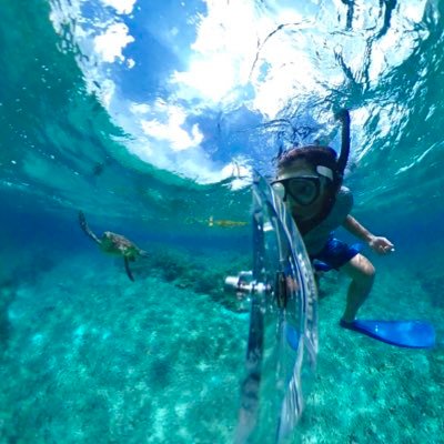 yohkash's profile picture. 映像の仕事をしている格闘技ファン。