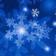 雪の中の蛍さんのプロフィール画像