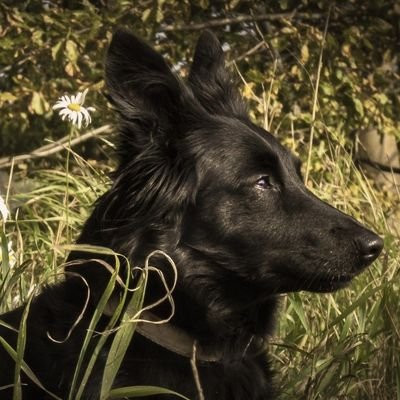 bbnu__'s profile picture. HP /20⬆️ / 시리우스 / 해리른 위주 / 이별은 블언블 / Fub free