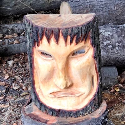 100000DM's profile picture. facit omnia voluntas