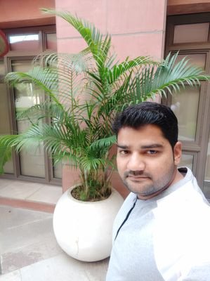 vcsingh17's profile picture. 