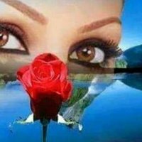 Polat Yasemin Çifti (@ciftipolat) Twitter profile photo