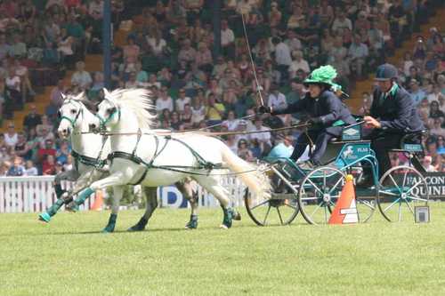 Orchard_Scurry's profile picture. Chris Orchard, Scurry Driver, Has two pairs of scurry ponies. Carriagehouse Insurance, 'Touch & Go' and 'Rough & Tumble'