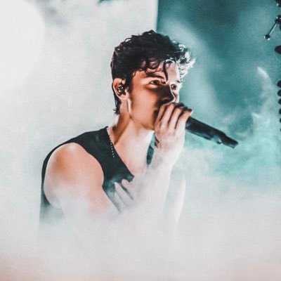 daily edits of shawn mendes — enjoy!