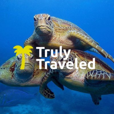 Travel Hacks, Destination guides and everything you need to know for your next trip! We love to travel on a budget! #TrulyTraveled https://t.co/5s25XcGG2z
