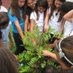 MDCPSustainability (@smdcps) Twitter profile photo MDCPSustainability (@smdcps) Twitter profile photo