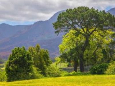 ᶜᵒᵐᵐᵘⁿᶦᵗʸ ᴵⁿᶠᵒ | George and the greater Garden Route | Visit @curateCapeTown too • our NEW! #GardenRoute tag #044Twitter - @iAmnotMany