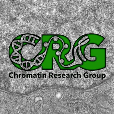 Chromatin Research Group