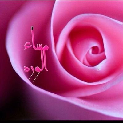 Mklp37488326's profile picture. 