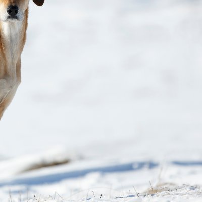 pmmyway's profile picture. 