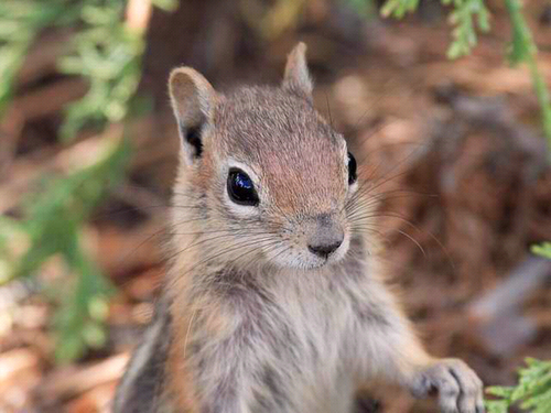 mperalta's profile picture. 