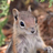 mperalta's profile image