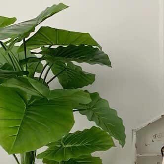 booktween1's profile picture. ...someday...