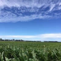 Agronomy Society NZ (@nz_agronomy) 's Twitter Profile