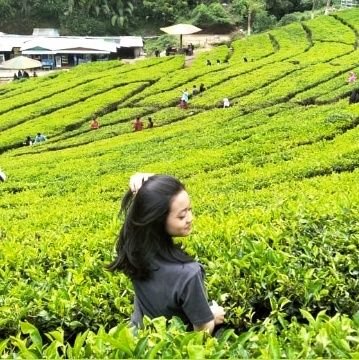 AanggySilf's profile picture. Bocah Baperan