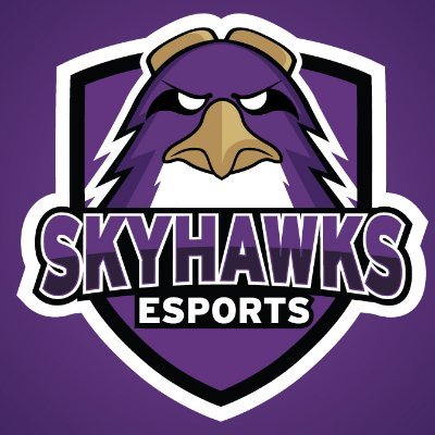 The official Twitter account for the Stonehill Gaming Club and Stonehill esports. https://t.co/sQ7Z6rC7ID
