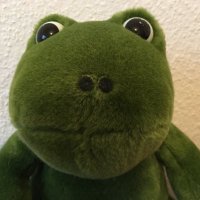 NichtderFrosch (@nichtderf) 's Twitter Profile