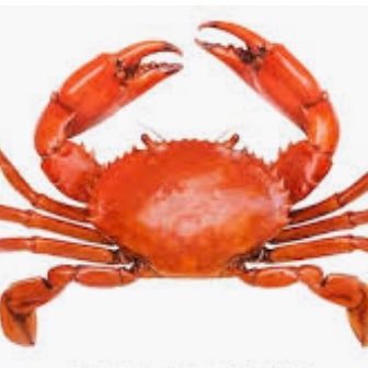 LilCrabner's profile picture. 