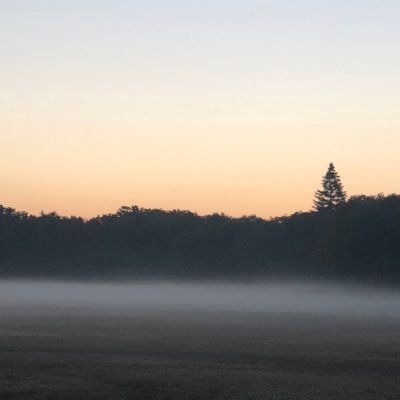 michele_mcardle's profile picture. 