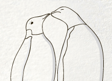 PeppertreeCards's profile picture. Weddings, Baby and Everyday Stationery