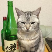 青砥泰二 (@dxnxldyduqzwffl) 's Twitter Profile