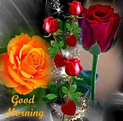 RobinJo24682320's profile picture. 